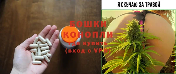 не бодяженный Бородино
