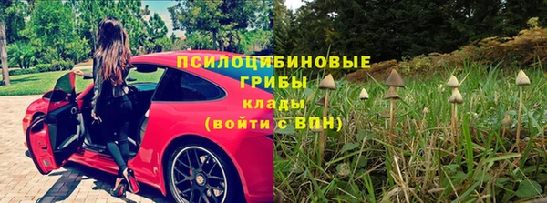 не бодяженный Бородино