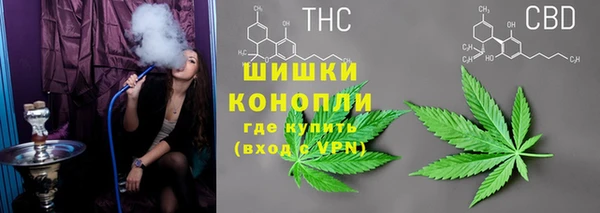 гидропоника Бронницы