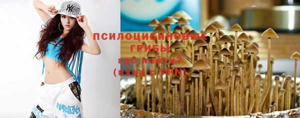 не бодяженный Бородино